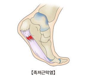 꽁타 꽁머니 먹튀검증 보증업체 꽁머니 환전