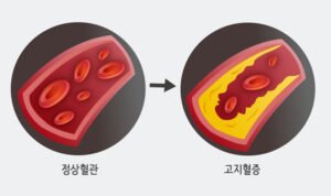 꽁타 꽁머니 먹튀검증 보증업체 꽁머니 환전